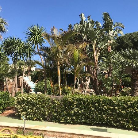 Le Palme Tropicali Apartment San Vito Lo Capo Luaran gambar