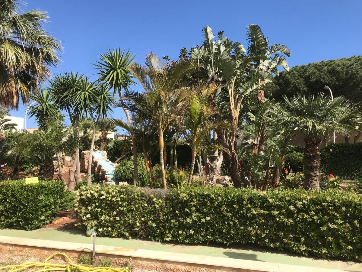 Le Palme Tropicali Apartment San Vito Lo Capo Luaran gambar